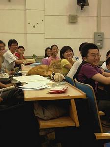 北大学术校猫在课堂听课