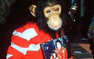 迈克尔·杰克逊宠物猩猩获巨额遗产
