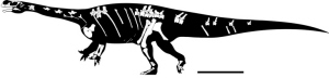 “地球之爪”成为恐龙从“两腿”进化到“四腿”的例证